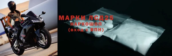 гашик Бородино