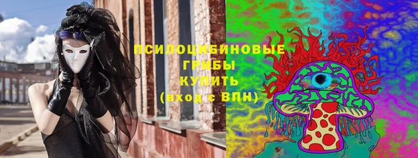 гашик Бородино