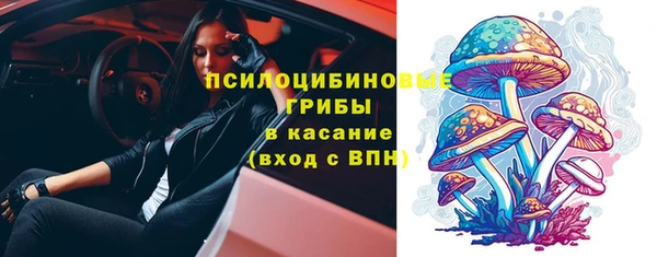 ECSTASY Верхний Тагил