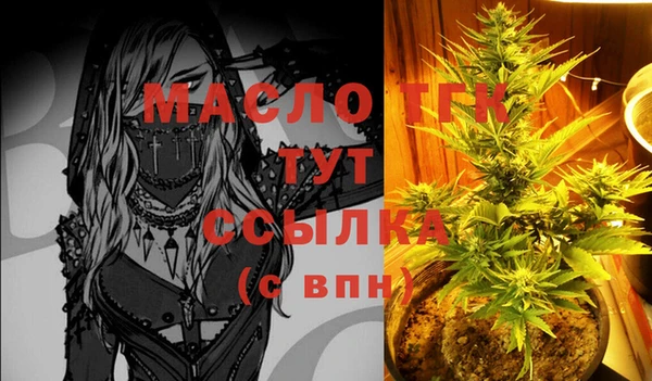 гашик Бородино