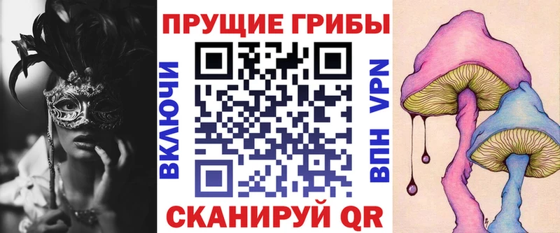 MEGA сайт  даркнет сайт  Ярославль  Псилоцибиновые грибы Psilocybe 